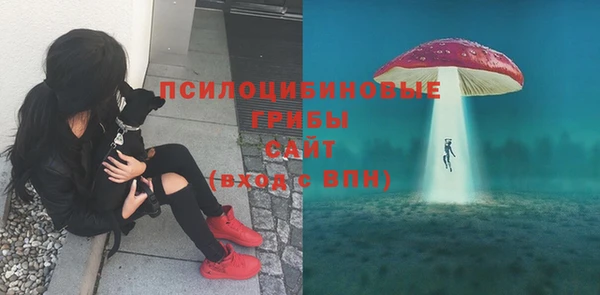 стафф Сатка