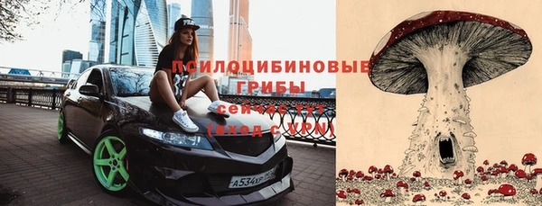 стафф Сатка