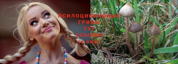 стафф Сатка